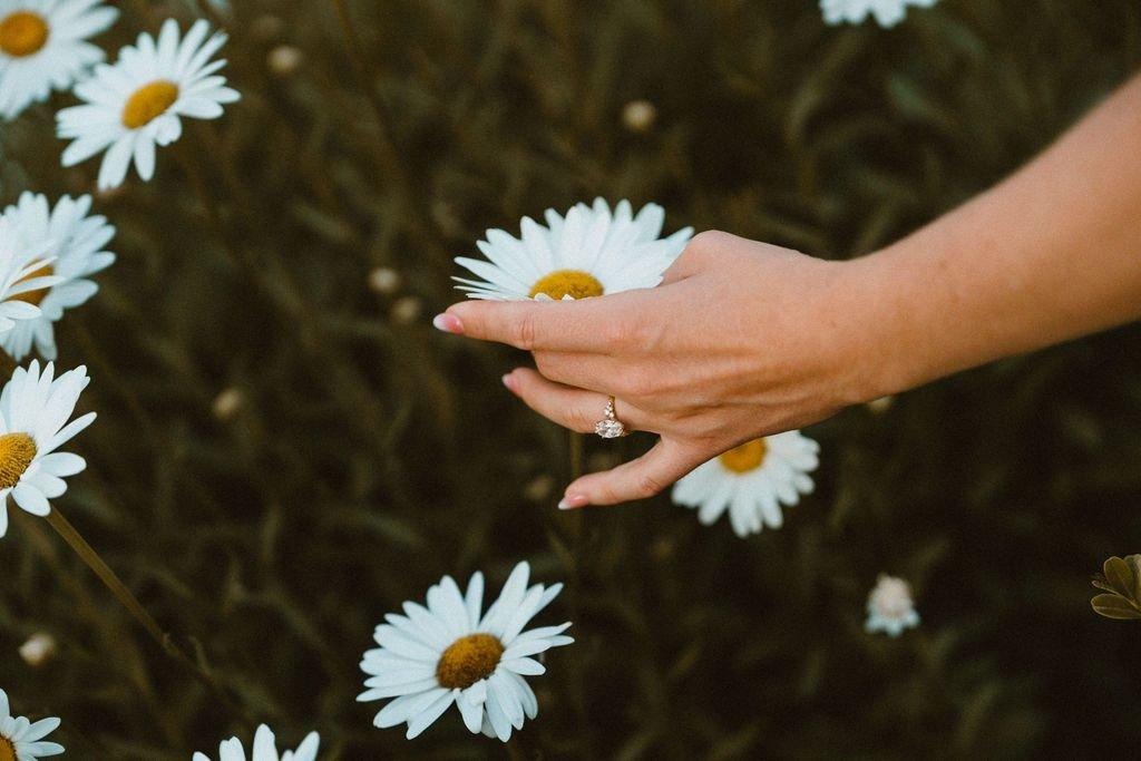 carousel-hero-element image-3